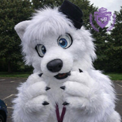 NOISE / HYPEBEAST - Single