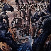 Souls To Deny by Suffocation