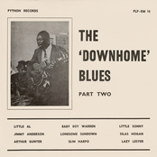 The Downhome Blues Part 2