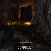 Tombs of Darkness & Serenity