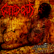 Amongst The Rotted (EP)