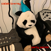 Party Panda