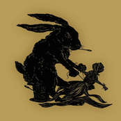 Green Elder/Horse Cult Split