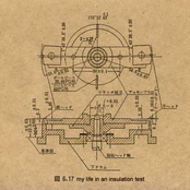 My Life In An Insulation Test