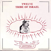 Twelve Tribe of Israel: Anthology