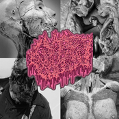 Human Stupidity Through Third World Gorenoise