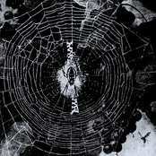 Black and White Art for Man and Beast