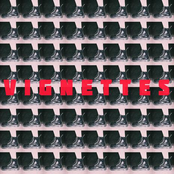 Vignettes