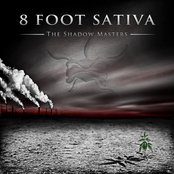 The Second Chance by 8 Foot Sativa