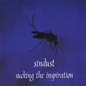 Sucking the Inspiration