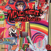 Mincemeat or Tenspeed - Drums Like Machine Guns: Split Release