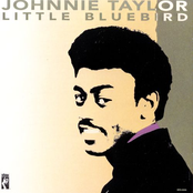 Johnny Taylor: Little Bluebird
