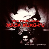 Mish Mash / Tiger Stomp