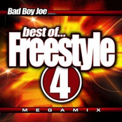 Lisette Melendez: Bad Boy Joe Presents...Best of Freestyle 4 Non Stop DJ Mix