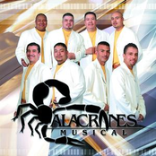 La Piedrecita by Alacranes Musical