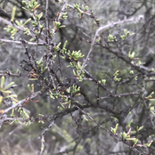 build your kingdom here