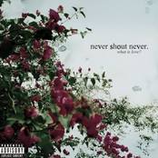 I Love You 5 by Never Shout Never