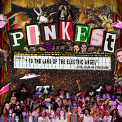 To the Land of the Electric Angel