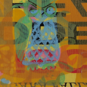 Everyone - Desperate Times