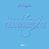 Trasparente