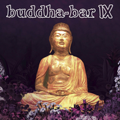 Buddha-Bar IX