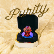 Purity