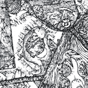 Headfirst.  À pleine tête.