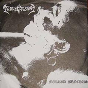 Suffocation by Transgressor