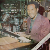 hailu mergia and the walias [ with mulatu astatqй ]