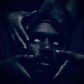 VINYL(s): LUCID EDITION [Slowed & Shroomed]