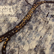 Strange Breaks & Mr Thing