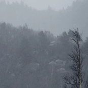 XX​〶​.​.​.​-​>