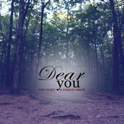 The Night A Forest Grew