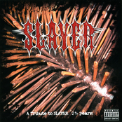 A Tribute To SLAYER 25 Years