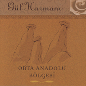 Gul Harmani Orta Anadolu Bolgesi