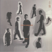 When The Summer Ends