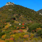 il dolce ricordo della nostra disperata gioventù