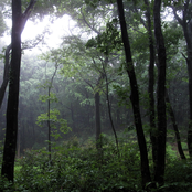 Sayama Hills