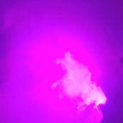 The D r e a m