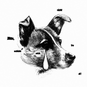 BITTE, SCHICKT MICH NICHT INS ALL!