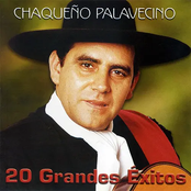 Amor Salvaje