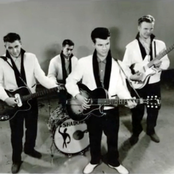 bobby vee & the shadows