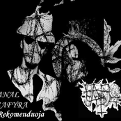 Anal Safyra Rekomenduoja