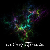 Wesleepinforests