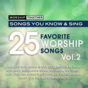 Worship Together: Worship Together: 25 Favorite Worship Songs Vol. 2