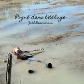 Pogné dans l'déluge