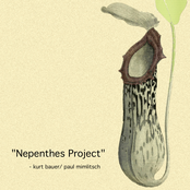 Nepenthes Project