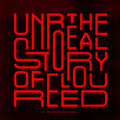 The Unreal Story of Lou Reed