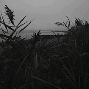 waitingintheabyssforyou.