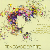 Renegade Spirits